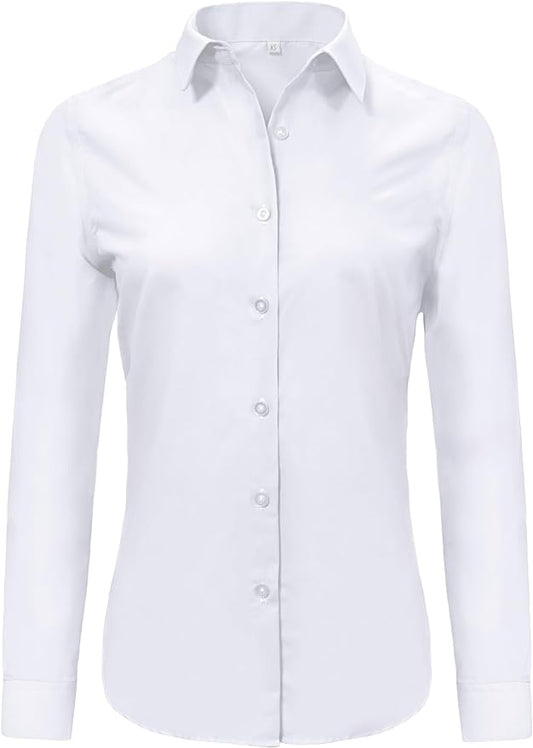 Chic Horizon Button Down Blouse